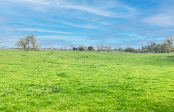 Development Opportunity in Pickworth photo